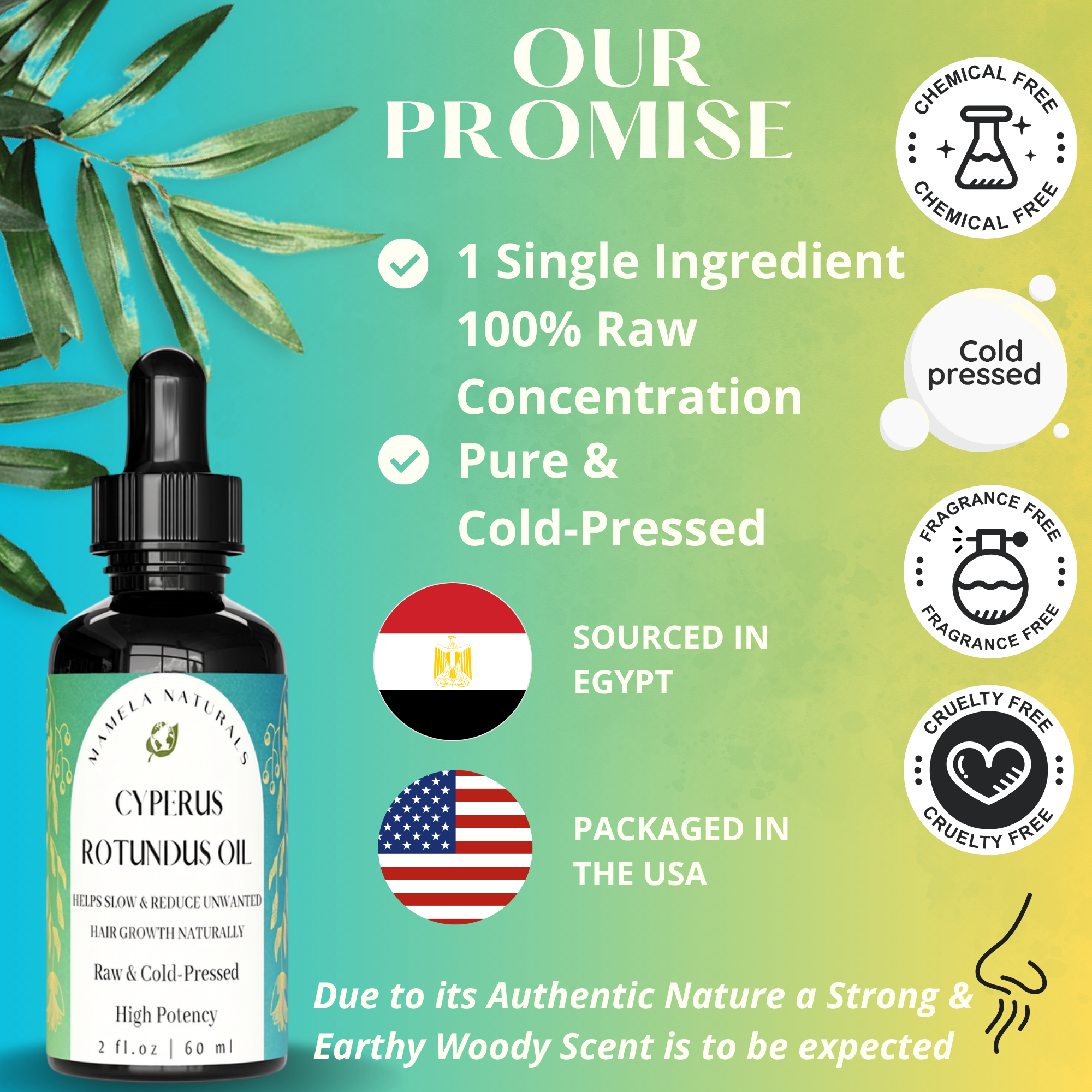 saad oil

pure Cyperus rotundus oil

natural hair removal oil

Cyperus rotundus oil for hair removal

Cyperus rotundus oil

cyperus oil

hair inhibitor oil
