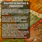 saad oil

pure Cyperus rotundus oil

natural hair removal oil

Cyperus rotundus oil for hair removal

Cyperus rotundus oil

cyperus oil

hair inhibitor oil

Egyptian cyperus oil

Egyptian cyperus rotundus oil